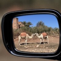 Le MAROC virée dans la région de Ouarzazate